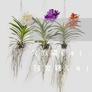 欠的錢(qián)法院起訴后多久可以追回（欠錢(qián)法院起訴多久還錢(qián)）