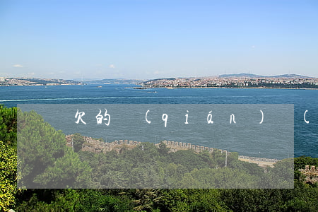 欠的錢(qián)無(wú)力償還怎么辦