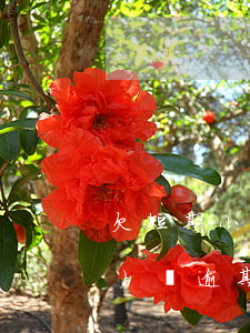 欠短期小網(wǎng)貸(小網(wǎng)貸逾期)