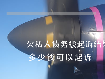 欠私人债务被起诉结果会怎样(私人欠债不还多少钱可以起诉)