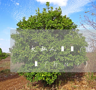 欠私人債務(wù)被起訴結(jié)果會(huì)怎樣
