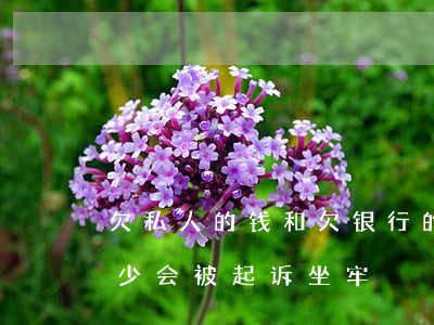 欠私人的钱和欠银行的钱要先还谁-欠款多少会被起诉坐牢