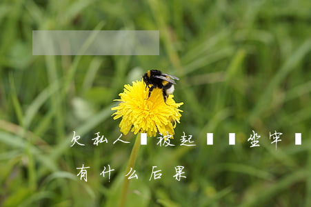 欠私人錢被起訴會坐牢嗎(私人欠錢被起訴會有什么后果)