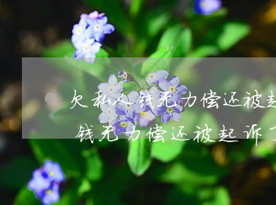 欠私人钱无力偿还被起诉了会怎样-欠私人钱无力偿还被起诉了会怎样处理