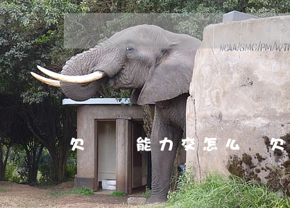 欠稅無能力交怎么辦（欠稅后無力償還怎么辦）