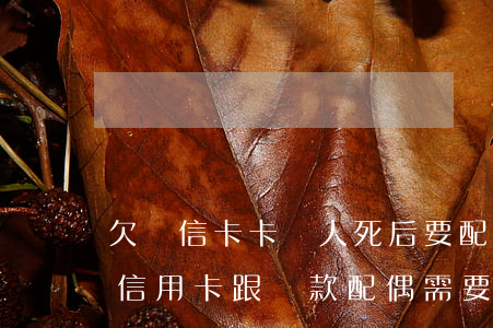 欠維信卡卡貸人死后要配偶還嗎(人死了欠的信用卡跟貸款配偶需要還嗎)