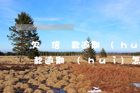 欠維信貸款逾期會(huì)怎樣(欠維信貸款逾期會(huì)怎樣)
