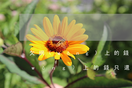 欠網(wǎng)上的錢只還本金嗎(欠網(wǎng)上的錢只還本金嗎怎么辦)