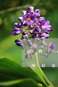 欠網(wǎng)債貸三萬(wàn)款公司起訴怎么辦-欠網(wǎng)債貸三萬(wàn)款公司起訴怎么辦理