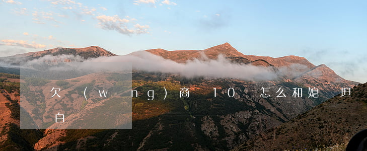 欠網(wǎng)商貸10萬怎么和媳婦坦白