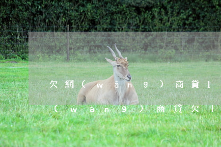 欠網(wǎng)商貸10還不起(支付寶網(wǎng)商貸欠十萬(wàn)逾期了)