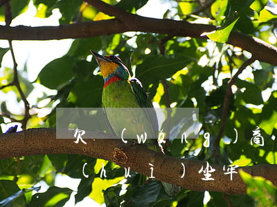 欠網(wǎng)商貸13萬(wàn)會(huì)坐牢嗎(網(wǎng)商貸欠款20多萬(wàn)要坐牢嗎)