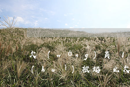 欠網(wǎng)商貸16萬(wàn)會(huì)被起訴么(欠網(wǎng)商貸15萬(wàn)還不起會(huì)坐牢嗎)