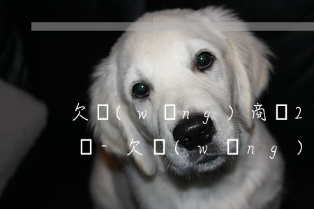 欠網(wǎng)商貸2000千萬十天沒還-欠網(wǎng)商貸2000千萬十天沒還會怎樣