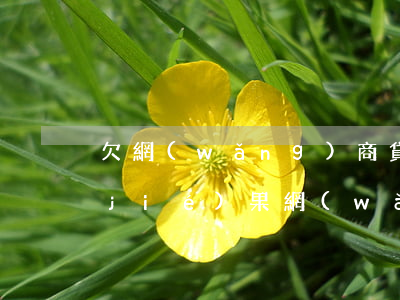 欠網(wǎng)商貸20多萬還不起結(jié)果(網(wǎng)商貸欠20萬逾期一年)