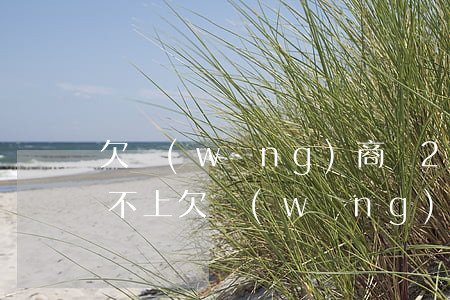 欠網(wǎng)商貸20萬(wàn)還不上(欠網(wǎng)商貸十幾萬(wàn))
