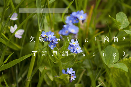 欠網(wǎng)商貸2萬(wàn)逾期了罰息(網(wǎng)商貸逾期兩年多利息可以協(xié)商解決嗎)