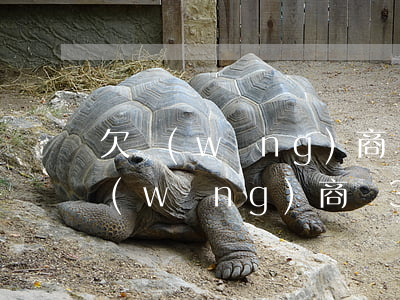 欠網(wǎng)商貸3萬會坐牢嗎(欠了網(wǎng)商貸3萬多,逾期一年了,會坐牢嗎)