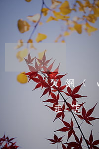欠網(wǎng)商貸4000元說要上門走訪-欠網(wǎng)商貸4000元說要上門走訪是真的嗎