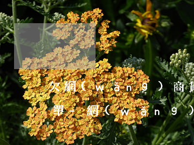 欠網(wǎng)商貸4000是不是黑名單-網(wǎng)商貸逾期4000塊錢還不上會怎么樣