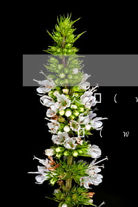 欠網(wǎng)商貸50萬不還怎么樣(欠網(wǎng)商貸十幾萬)