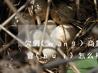 欠網(wǎng)商貸5萬(wàn)不還會(huì)怎么樣