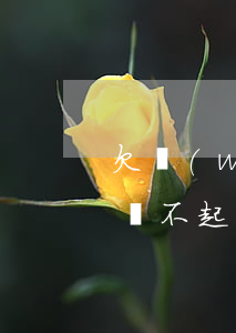 欠網(wǎng)商貸7萬(wàn)一年還不起咋辦(2018年網(wǎng)商貸欠一萬(wàn)多)