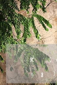 欠網(wǎng)商貸五萬一年(欠網(wǎng)商貸5萬塊錢暫時沒有錢還會怎么樣)