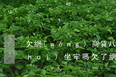 欠網(wǎng)商貸八萬(wàn)會(huì)坐牢嗎(欠了網(wǎng)商貸會(huì)被拘留嗎)