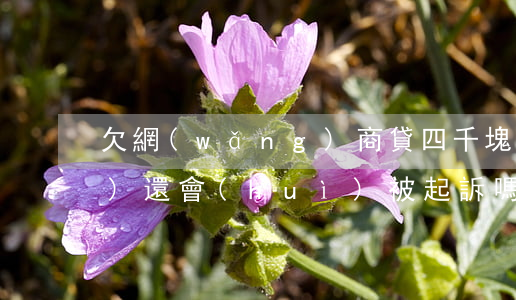 欠網(wǎng)商貸四千塊錢沒(méi)還會(huì)被起訴嗎-欠網(wǎng)商貸四千塊錢沒(méi)還會(huì)被起訴嗎知乎
