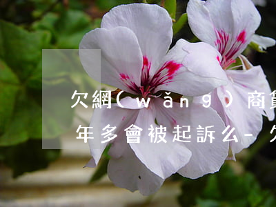 欠網(wǎng)商貸失聯(lián)一年多會被起訴么-欠網(wǎng)商貸失聯(lián)一年多會被起訴么嗎