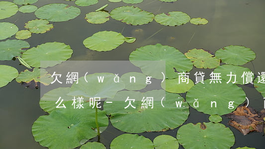 欠網(wǎng)商貸無力償還被起訴會怎么樣呢?-欠網(wǎng)商貸的錢還不上被起訴怎么辦