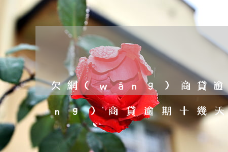 欠網(wǎng)商貸逾期90天(網(wǎng)商貸逾期十幾天會(huì)怎么樣)