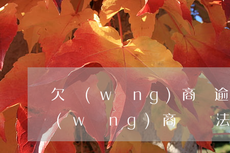 欠網(wǎng)商貸逾期了怎么辦(欠了網(wǎng)商貸無法償還怎么辦)
