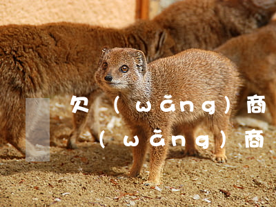 欠網(wǎng)商貸逾期幾年可以不用還(網(wǎng)商貸逾期三年不還)