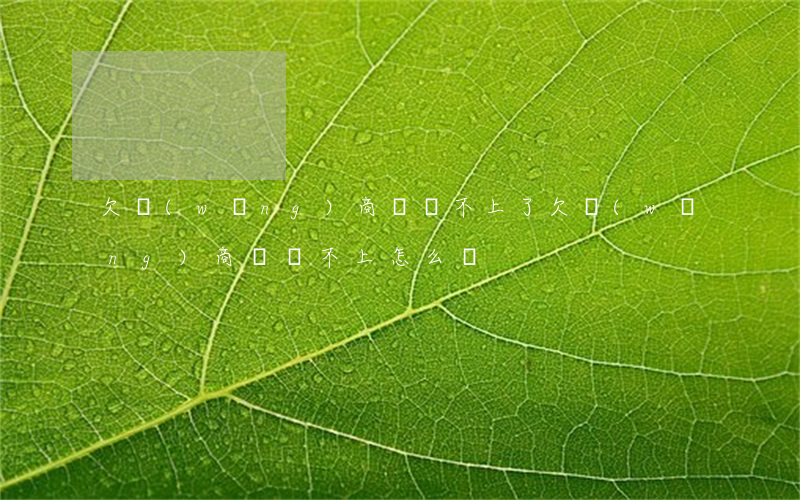 欠網(wǎng)商貸還不上了(欠網(wǎng)商貸還不上怎么辦)