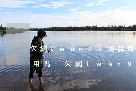 欠網(wǎng)商貸還不上支付寶還可以用嗎-欠網(wǎng)商貸還不上支付寶還可以用嗎安全嗎
