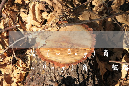 欠網(wǎng)商貸還不起被起訴(欠網(wǎng)商貸會被起訴嗎)