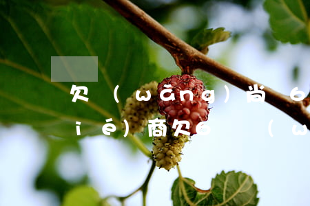 欠網(wǎng)尚貸6萬逾期怎么協(xié)商(欠6萬網(wǎng)貸都要逾期了)