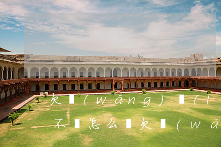 欠網(wǎng)絡(luò)貸和信用卡不還怎么辦(欠網(wǎng)貸信用卡實在還不上怎么辦)