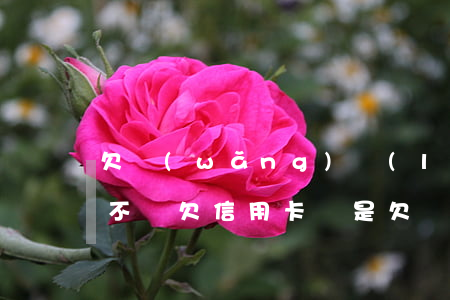 欠網(wǎng)絡(luò)貸和信用卡不還(欠信用卡還是欠網(wǎng)貸怎么選擇)