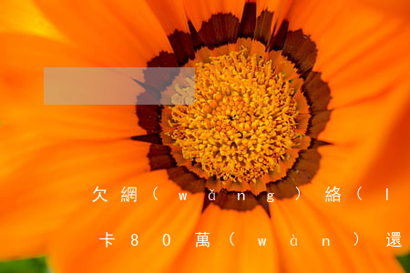 欠網(wǎng)絡(luò)貸款和信用卡80萬(wàn)還不上-欠網(wǎng)絡(luò)貸款和信用卡80萬(wàn)還不上怎么辦