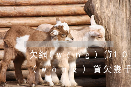 欠網(wǎng)貸10000怎么借錢(網(wǎng)貸欠幾千怎么辦)