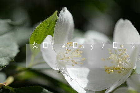 欠網(wǎng)貸10000會上門嗎