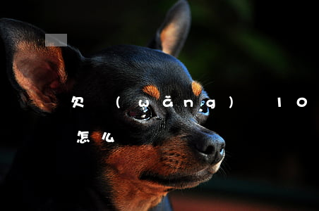 欠網(wǎng)貸1000元5年沒還會怎么辦
