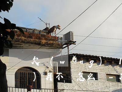 欠網(wǎng)貸1000塊三個(gè)月不還怎么樣-欠網(wǎng)貸1000塊三個(gè)月不還怎么樣了
