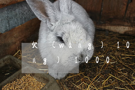 欠網(wǎng)貸1000塊(欠網(wǎng)貸1000塊錢可以起訴嗎)