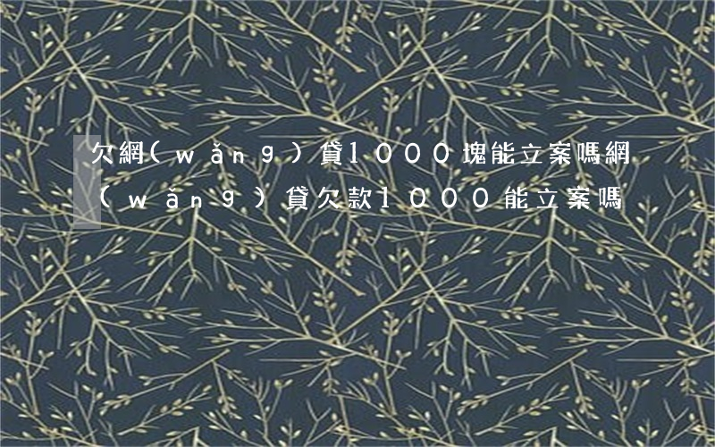 欠網(wǎng)貸1000塊能立案嗎(網(wǎng)貸欠款1000能立案嗎)