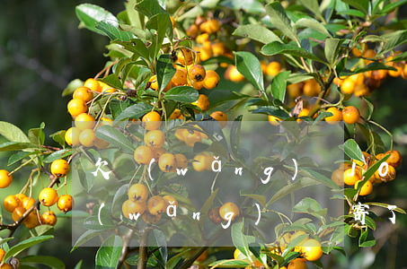 欠網(wǎng)貸1000寄律師函(欠網(wǎng)貸郵寄了一張律師函)