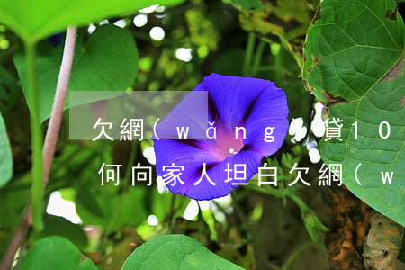欠網(wǎng)貸100萬(wàn)如何向家人坦白(欠網(wǎng)貸100萬(wàn)如何向家人坦白)